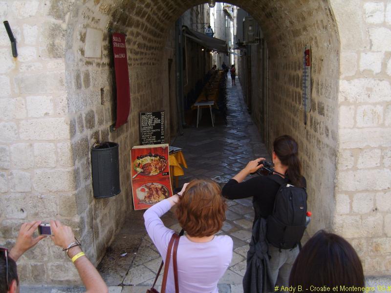 Dubrovnik ville (24).JPG